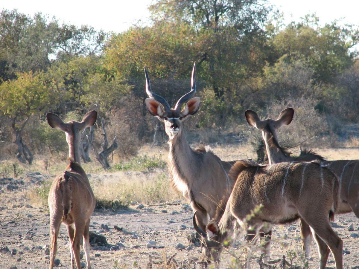 Kalkfontein Guestfarm Hotel Grootfontein Zewnętrze zdjęcie